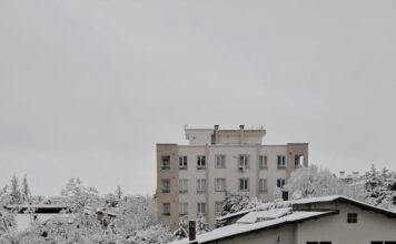 Ce e mai convenabil sa vinzi la anticariat: carti vechi sau noi? cumparatori de carti vechi