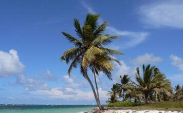 De ce să vizităm Punta Cana – paradisul caraibian pentru o vacanță de vis vizita Punta Cana