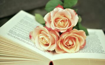Cartea „Pânza lui Charlotte” – cum poate deveni o resursă valoroasă pentru cei care își reorganizează biblioteca Cumpărători de cărți vechi