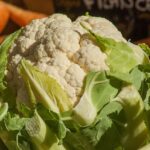 cultivare conopida Santamaria