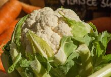 cultivare conopida Santamaria