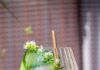 Cocktailul Cucumber Cooler