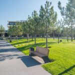 Destiny Park